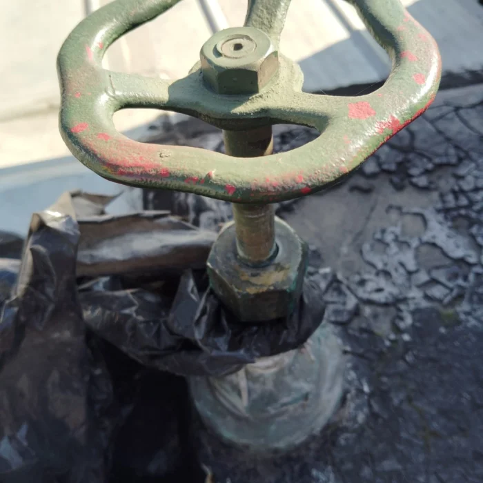 WhatsApp Image 2025-02-23 at 21.58.02 (1)_3_11zon