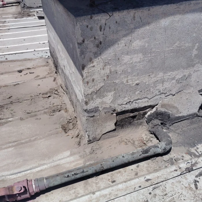 WhatsApp Image 2025-02-23 at 21.58.10 (3)_29_11zon